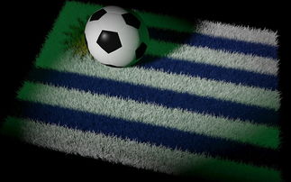 三亿体育体育在线-葡萄牙国家队遭遇小组赛两连败，险掉队，葡萄牙国家队成绩